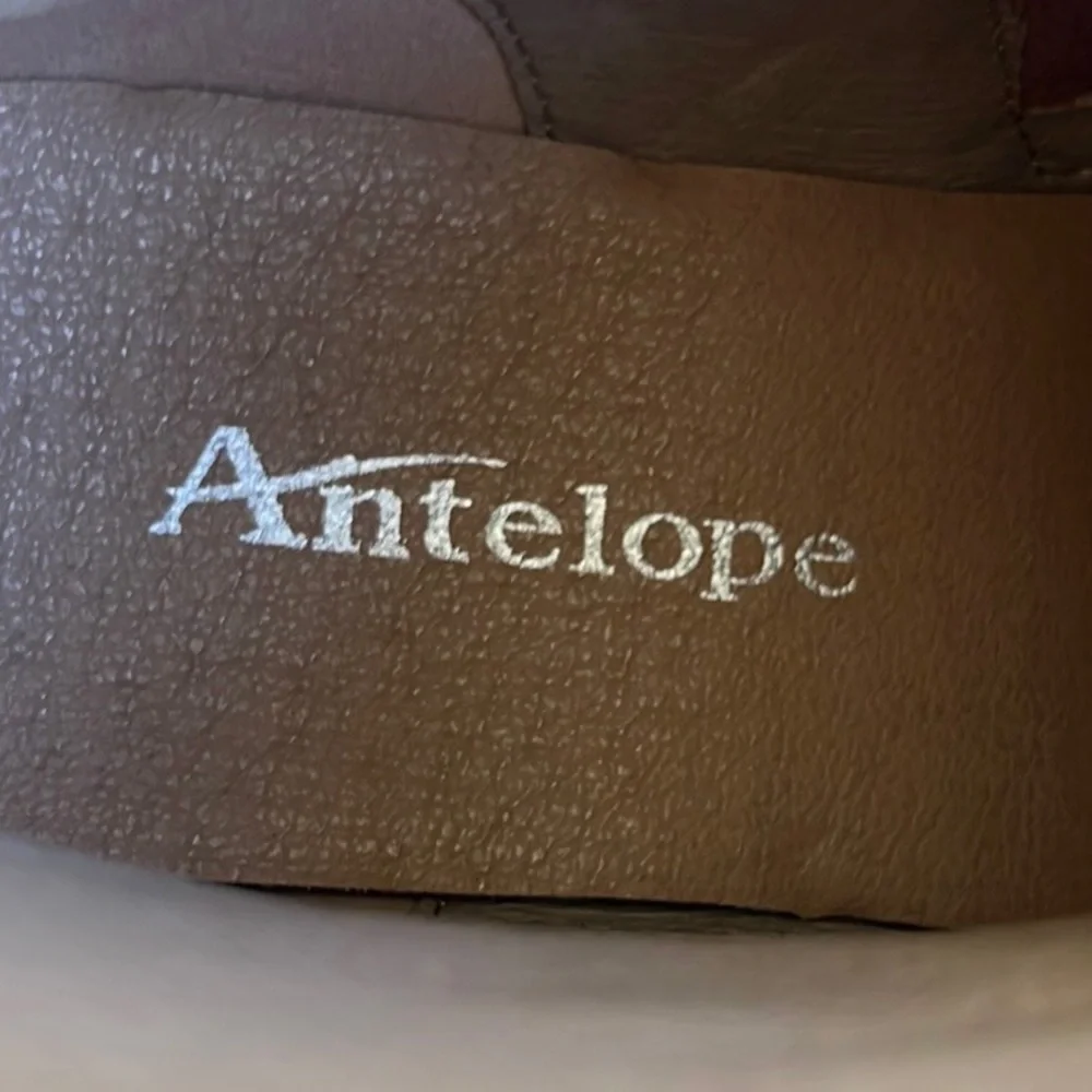 Like New Antelope Leather Metallic Ankle Boot